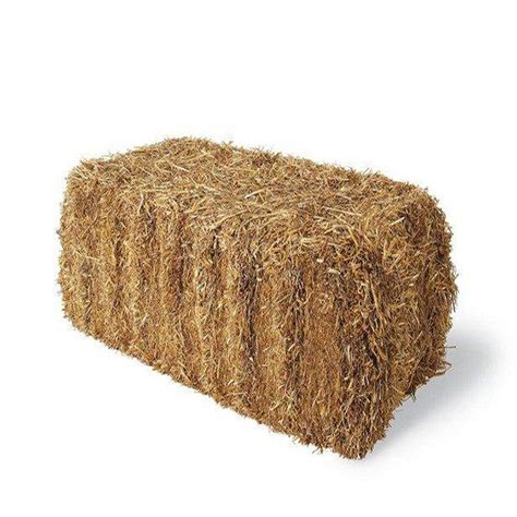 lowes straw|buy straw bales home depot.